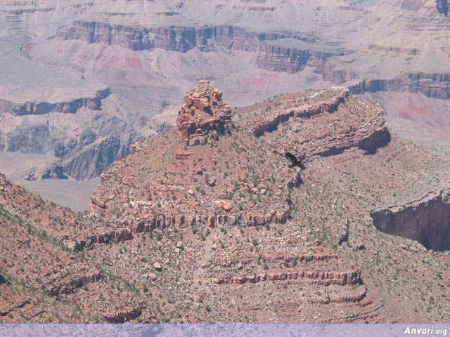 Grand Canyon 5 - Grand Canyon 5 