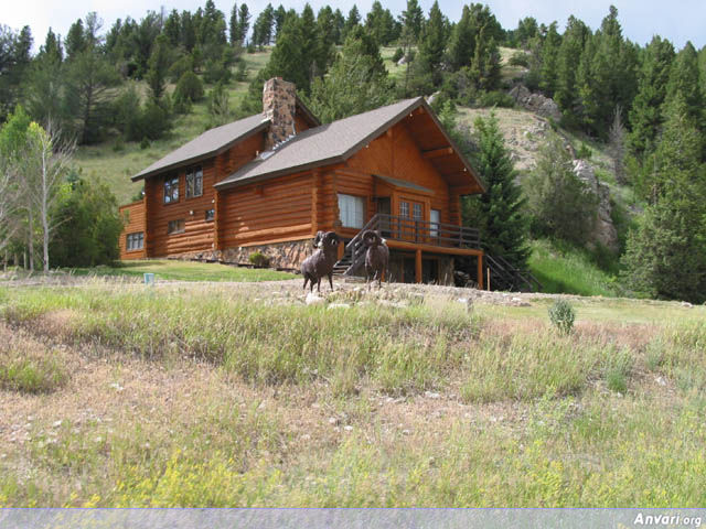 Gorgeous House - Gorgeous House 