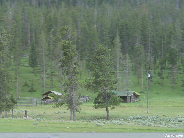 Houses and Trees - Houses and Trees 