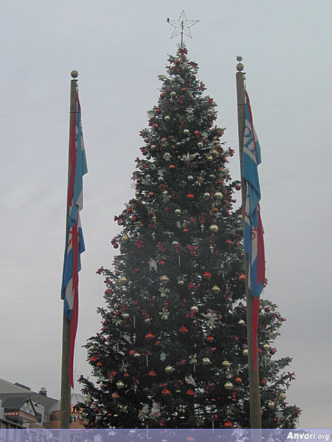 Christmas Tree - Christmas Tree 