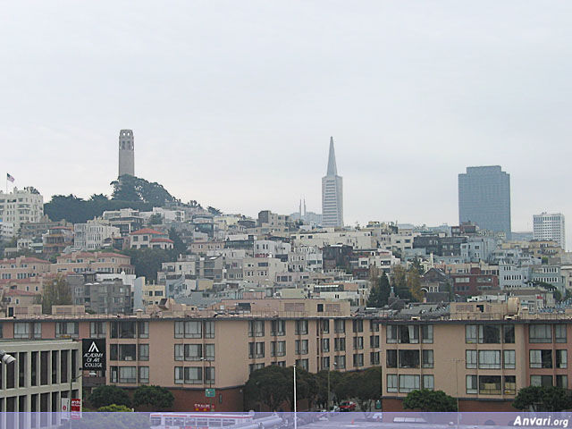 San Francisco Hills - San Francisco Hills 
