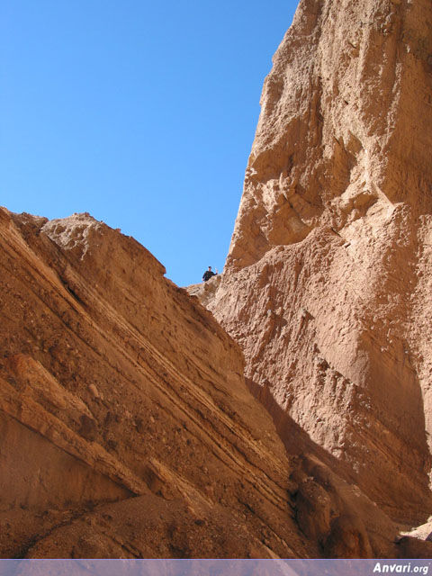 Bahrams Head - Bahrams Head 