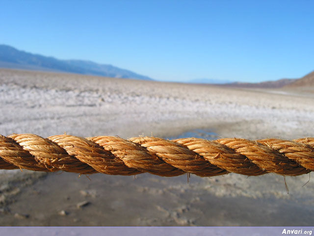 The Rope - The Rope 