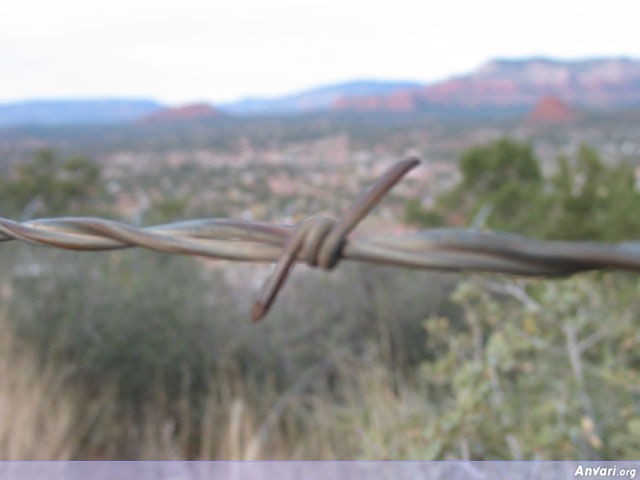 Barbed Wire 2 - Barbed Wire 2 