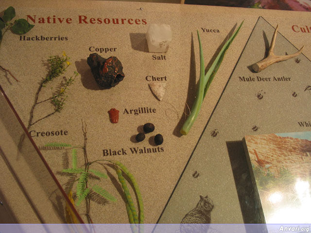 Native Resources - Native Resources 