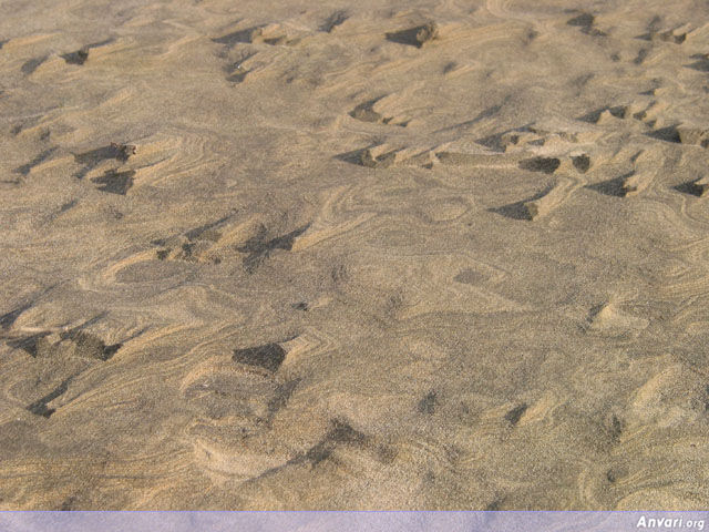 Sand Texture - Sand Texture 
