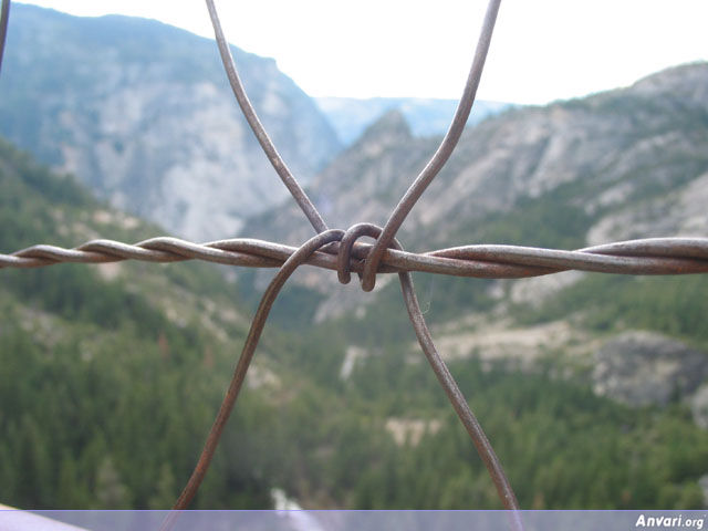 Barbed Wire - Barbed Wire 