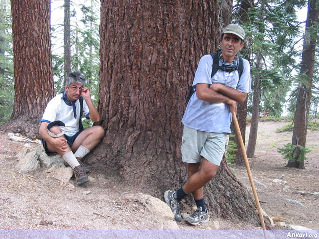 Mahmood and Ahmad coming Back from the Peak - Mahmood and Ahmad coming Back from the Peak 