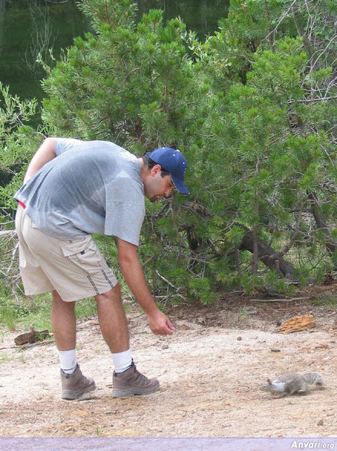 Please Do Not Feed the Squirrel - Please Do Not Feed the Squirrel 