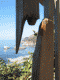 Wood and Ocean